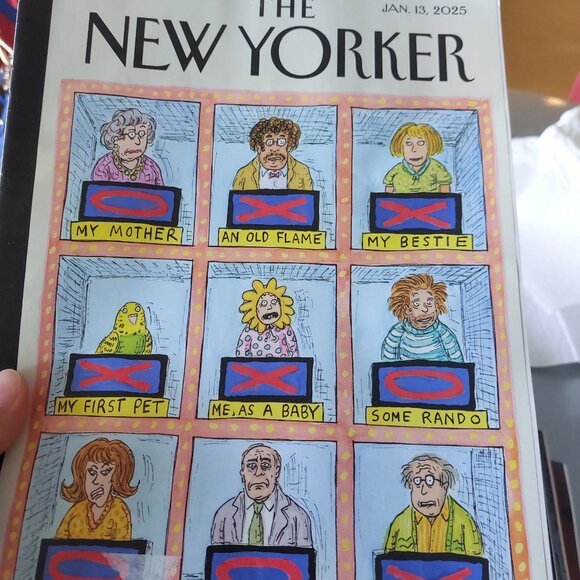 The New Yorker Magazine 2025 BUNDLE OF 7 - Jan - April - Picture 3 of 9